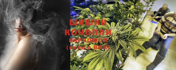 PSILOCYBIN Белоозёрский